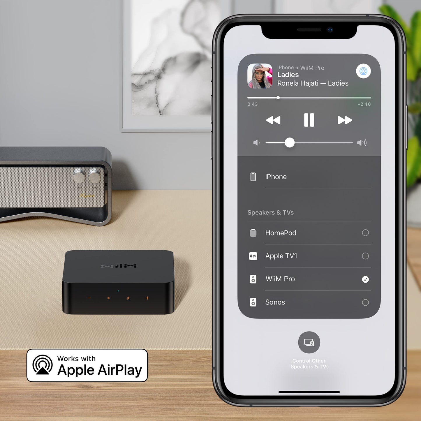 AirPlay 2 レシーバー、Chromecast Audio、WiFi Multiroom Streamer、Alexa、Siri、Google Assistantに対応、Spotify、Amazon Music、Tidalなどのハイレゾオーディオをストリーミング配信