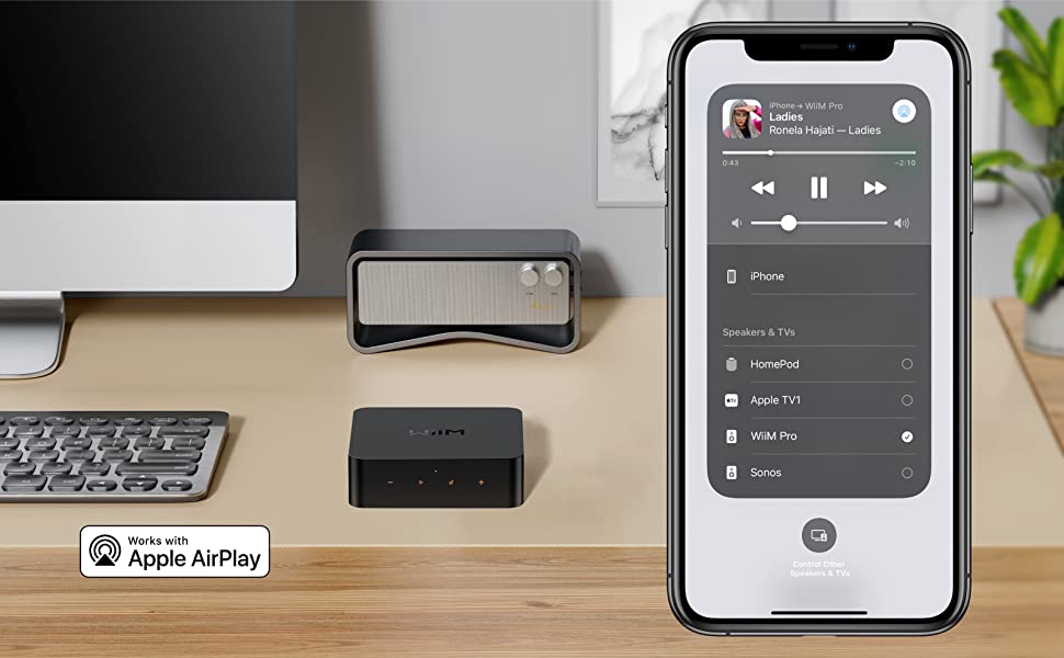 AirPlay 2 レシーバー、Chromecast Audio、WiFi Multiroom Streamer、Alexa、Siri、Google Assistantに対応、Spotify、Amazon Music、Tidalなどのハイレゾオーディオをストリーミング配信